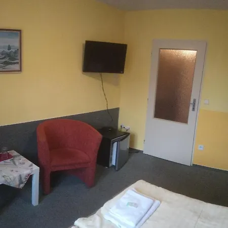 Guest house Mestansky Dum 3*
